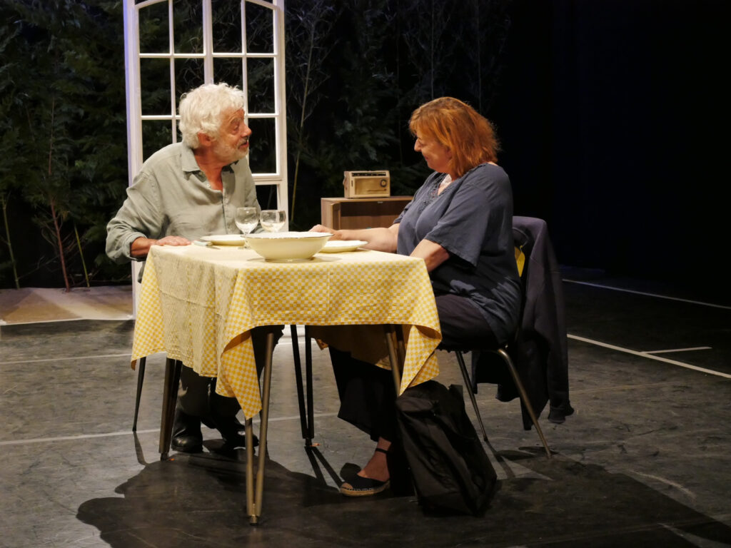 Au vert ! - Garage Théâtre - Gilles David et Camille Grandville - Photo JYL